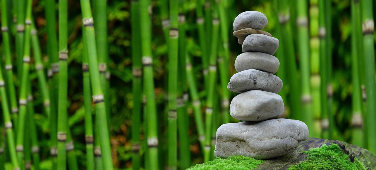 Minimalistische Japanse tuin met bonsai-boom. Minimalistische Japanse tuin met bonsai-boom.